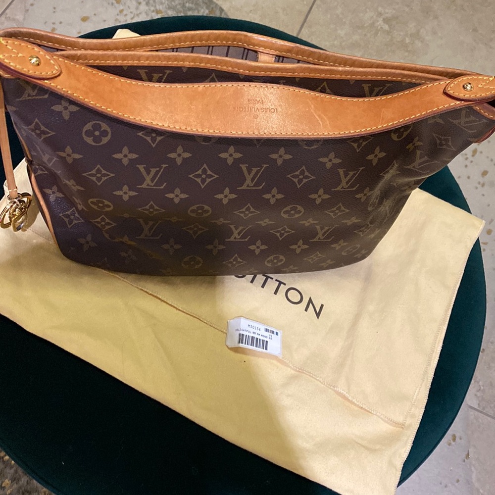 Louis Vuitton Delightful NM PM Monogram bag